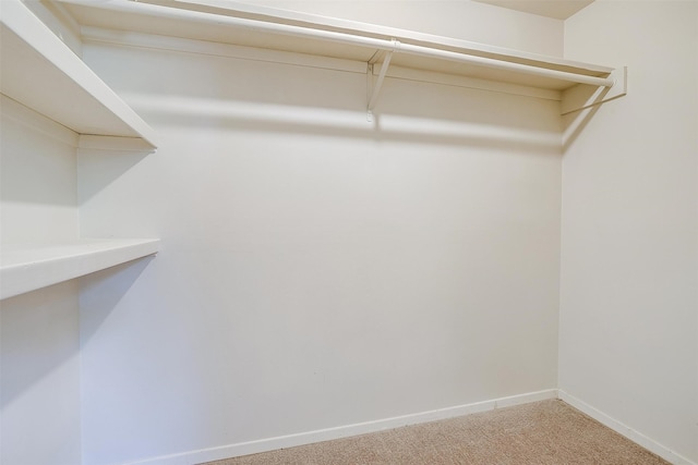 walk in closet featuring carpet floors