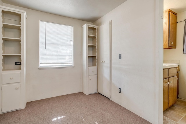 interior space featuring light carpet