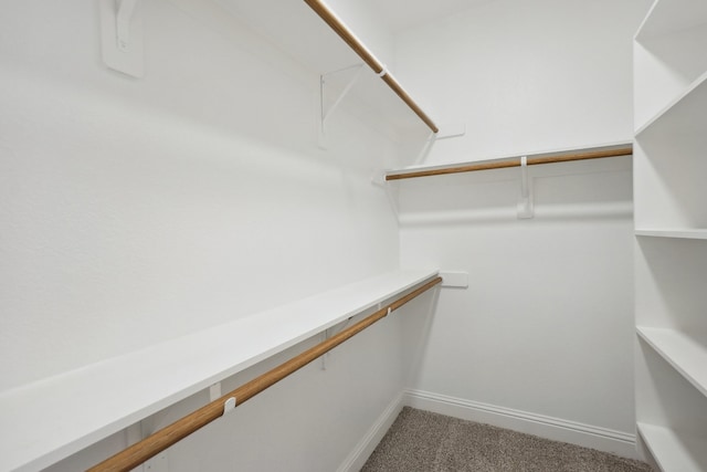 walk in closet with carpet