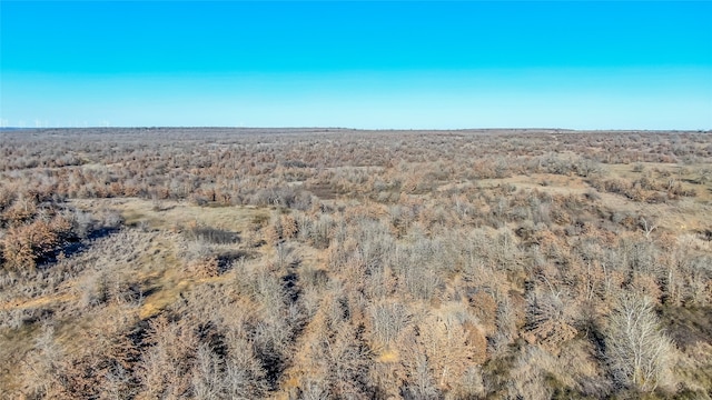 Listing photo 3 for TBD Berry Dairy Rd, Jacksboro TX 76458