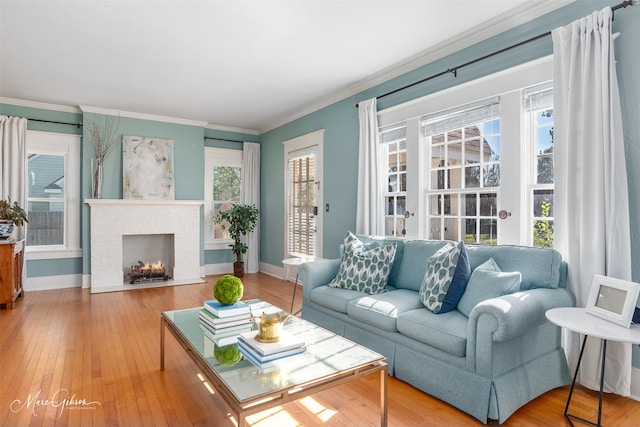 living room with ornamental molding, a fireplace, and hardwood / wood-style floors