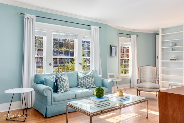 living room featuring light hardwood / wood-style floors and crown molding