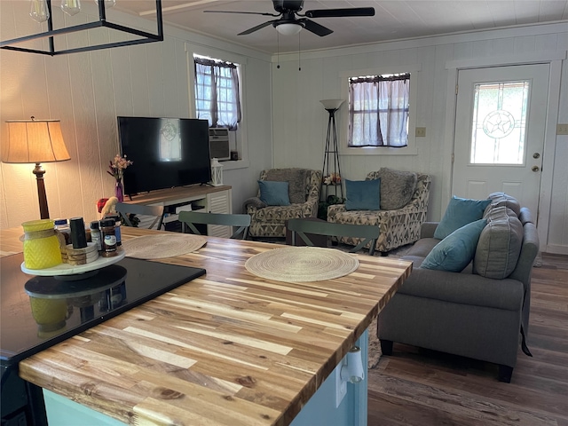 living room featuring ceiling fan, crown molding, and dark wood-type flooring