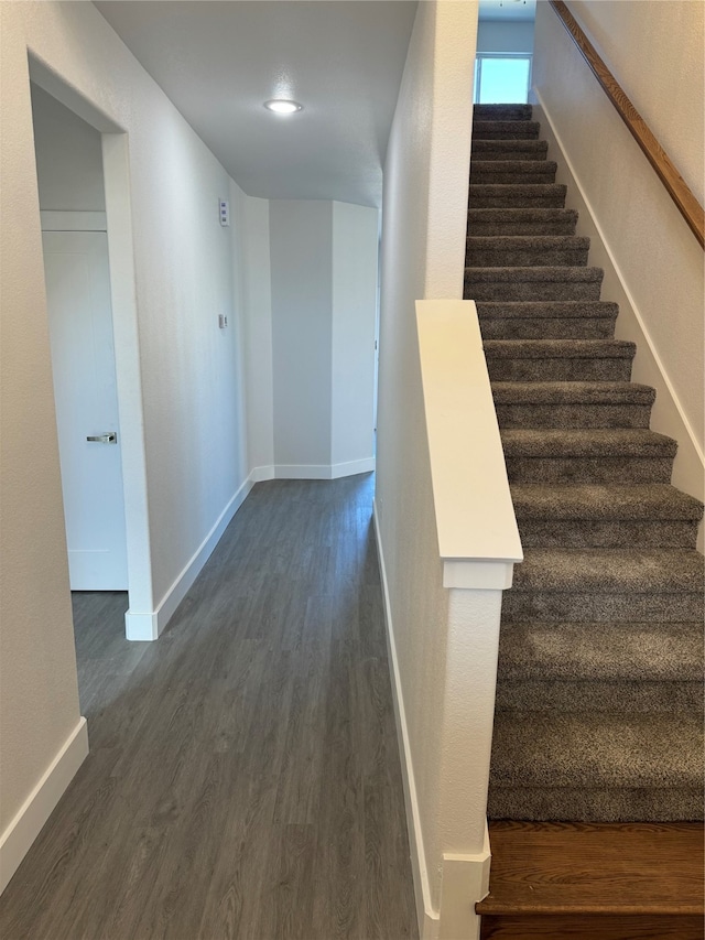 staircase with hardwood / wood-style flooring