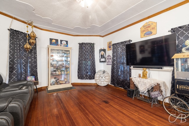 living room featuring a textured ceiling and wood-type flooring