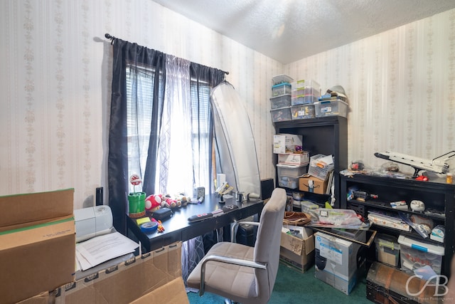 office space featuring carpet and a textured ceiling