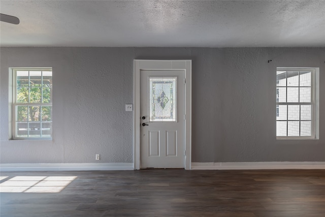 foyer featuring a wealth of natural light, a textured ceiling, and hardwood / wood-style flooring