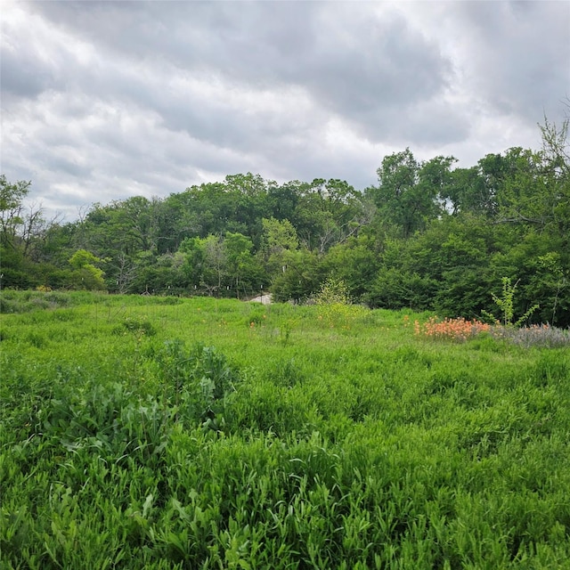 view of landscape