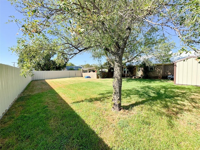 view of yard with a fenced backyard, an outdoor structure, and a shed