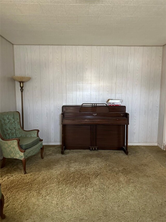 carpeted office space with wood walls