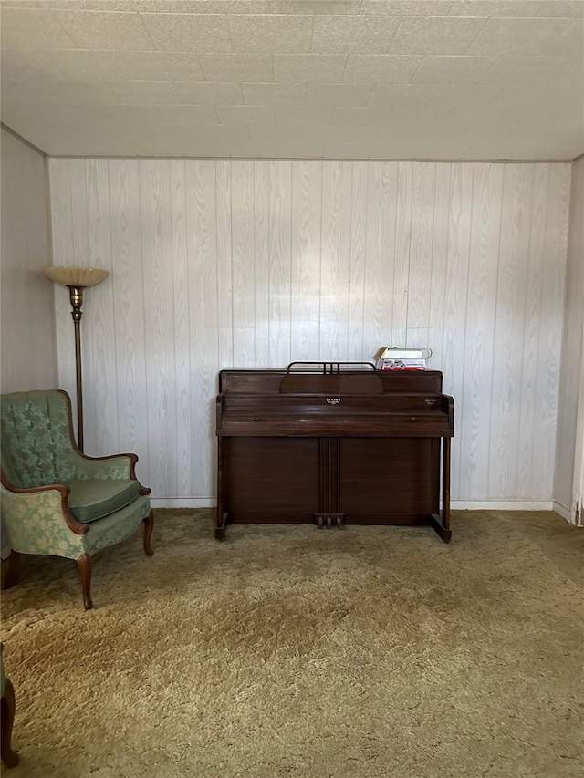living area featuring wooden walls