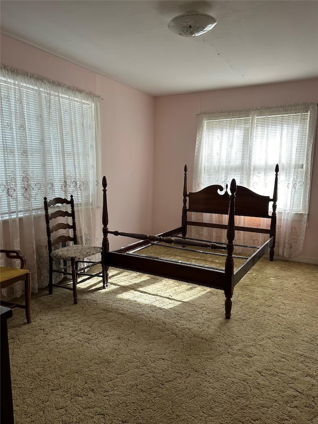 bedroom featuring multiple windows and carpet