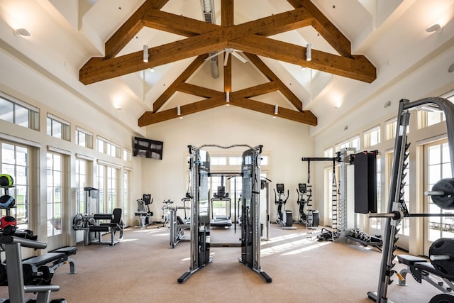 gym featuring light carpet and high vaulted ceiling