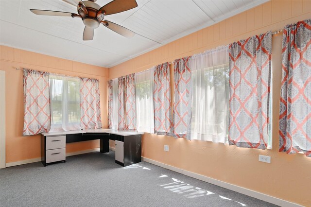 unfurnished office featuring a wealth of natural light, carpet, and ceiling fan