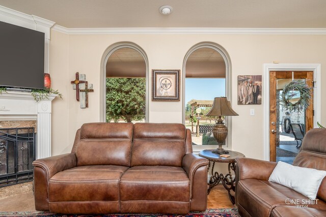 living room with ornamental molding and a wealth of natural light