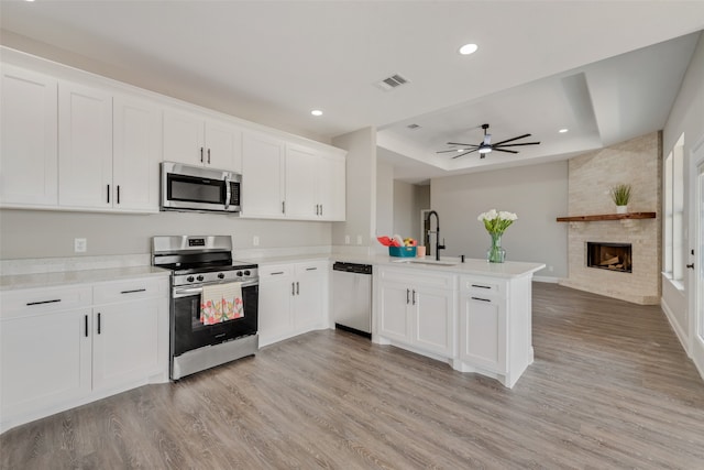 kitchen with sink, light hardwood / wood-style flooring, appliances with stainless steel finishes, and a tray ceiling