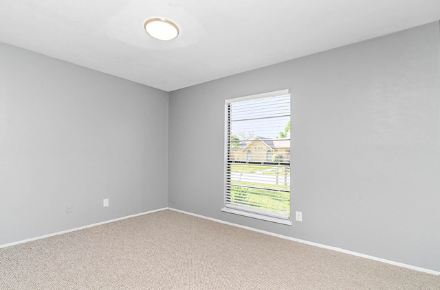 empty room featuring carpet