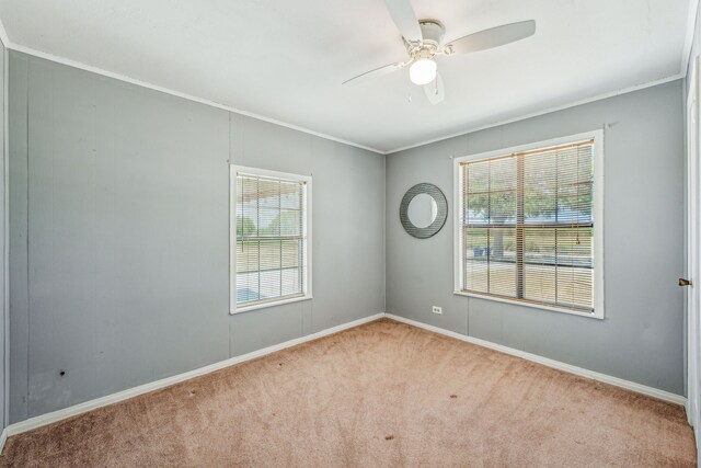 carpeted empty room with ceiling fan and ornamental molding