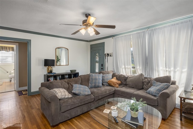 living room featuring hardwood / wood-style flooring, crown molding, and ceiling fan