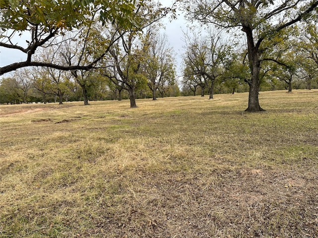 8404 W Landings Rd, Granbury TX, 76049 land for sale