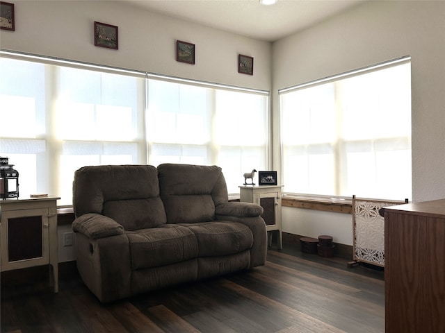 living room with dark hardwood / wood-style floors