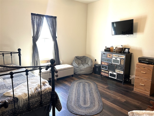 bedroom featuring dark wood-type flooring