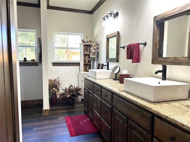 bathroom featuring double vanity, wood finished floors, a sink, and crown molding