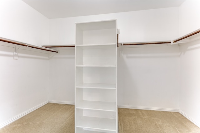 spacious closet featuring light colored carpet