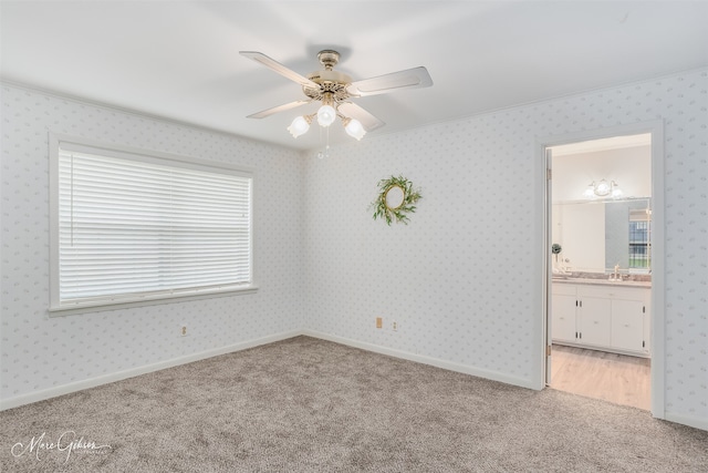 carpeted empty room featuring ornamental molding and ceiling fan