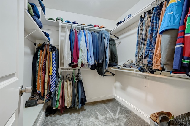 spacious closet featuring carpet flooring