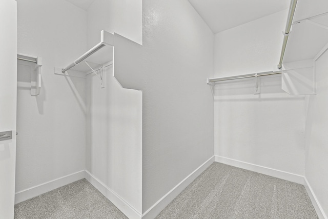 spacious closet with carpet flooring