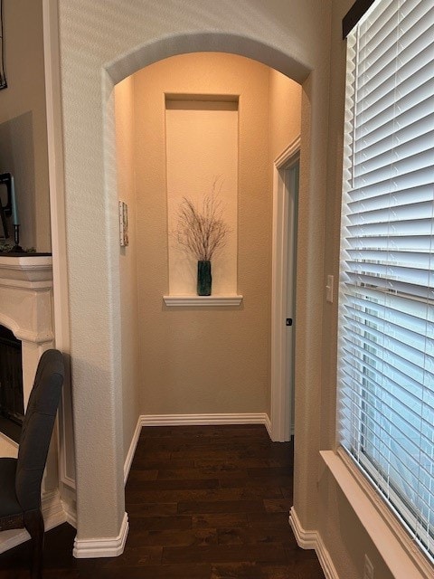 hallway featuring plenty of natural light and dark wood-type flooring