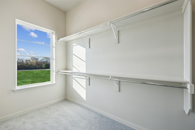 walk in closet with light carpet