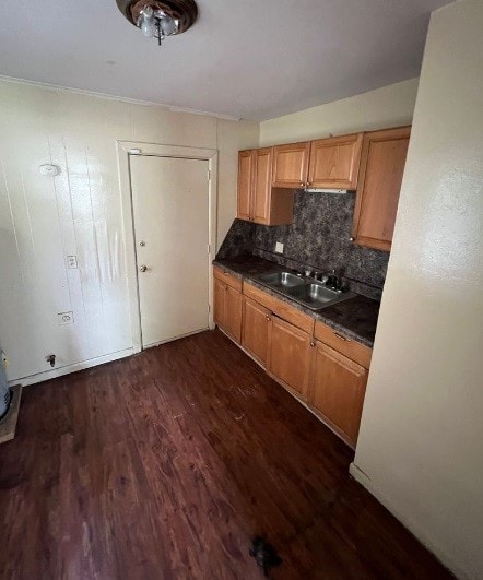 kitchen featuring sink, dark hardwood / wood-style floors, and tasteful backsplash