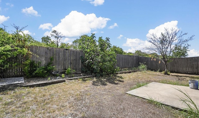 view of yard featuring a patio and a fenced backyard