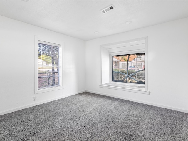 spare room with carpet floors