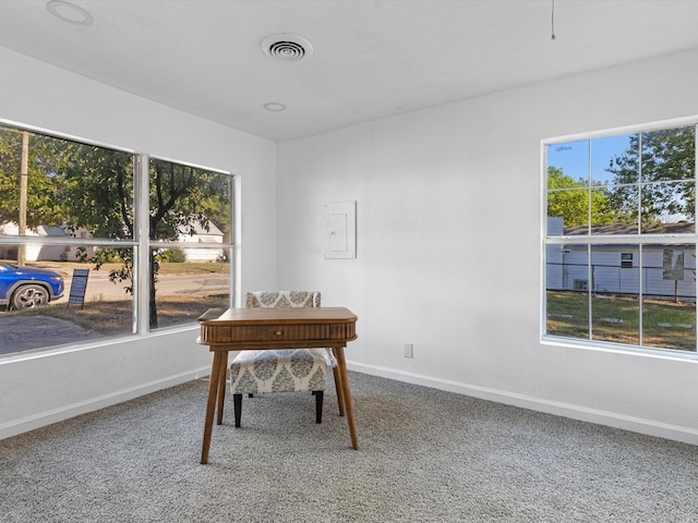 office space featuring carpet flooring and a wealth of natural light