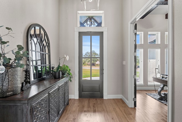 entryway with a wealth of natural light and hardwood / wood-style flooring