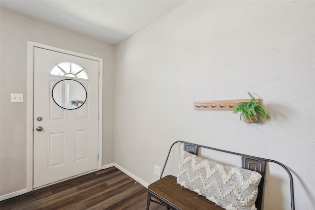 foyer featuring dark hardwood / wood-style flooring