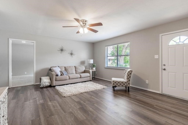 foyer featuring dark wood-type flooring