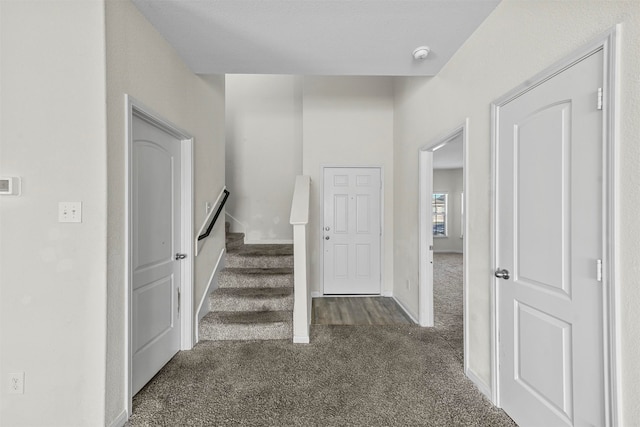 stairway featuring carpet floors