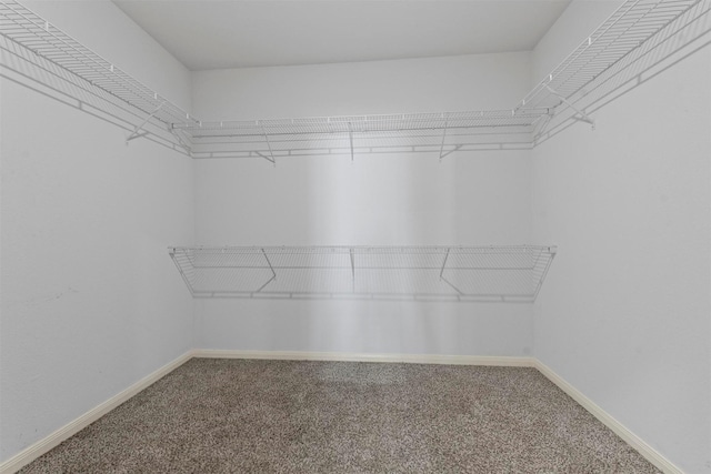 walk in closet with carpet