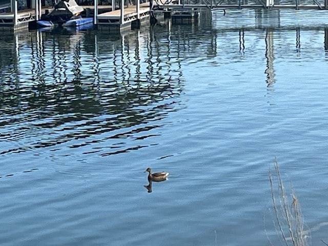 exterior space with a water view and a dock