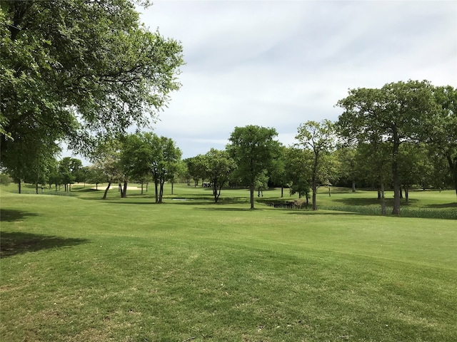 view of community with a lawn