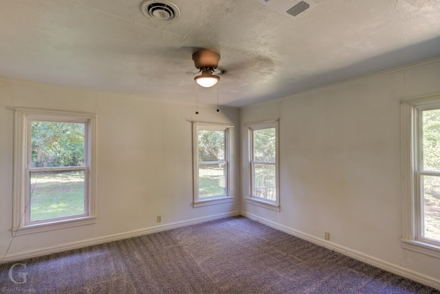 empty room with ceiling fan, plenty of natural light, and carpet floors