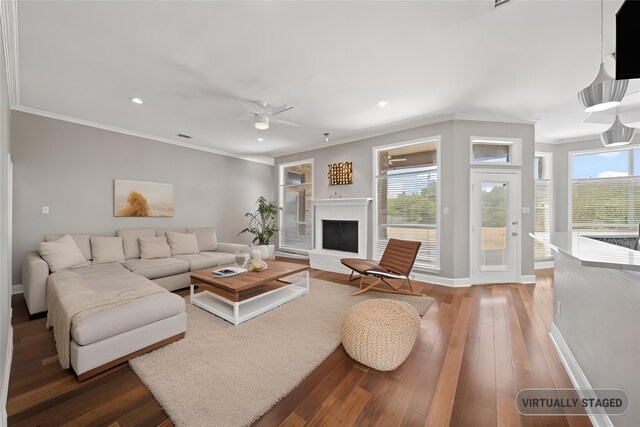 living room with ceiling fan, a wealth of natural light, crown molding, and wood-type flooring