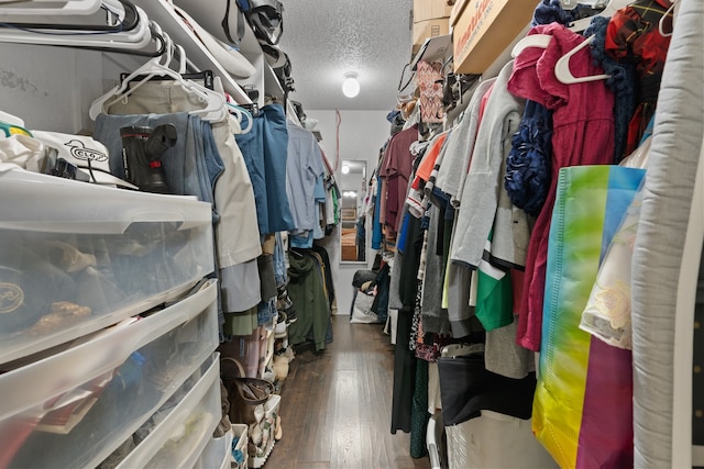 spacious closet featuring dark hardwood / wood-style floors