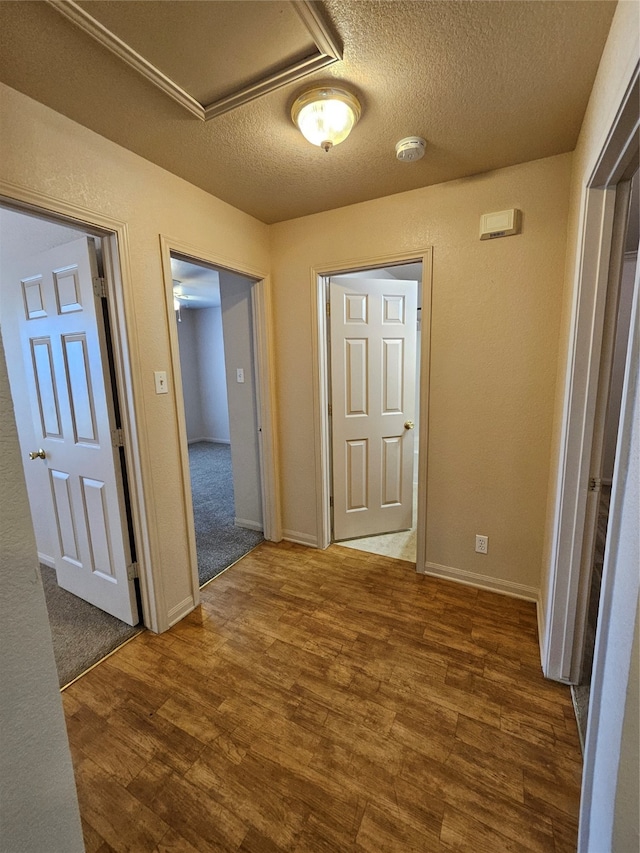 hallway with carpet and a textured ceiling