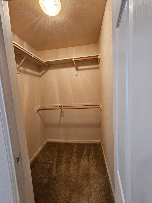 walk in closet with dark carpet