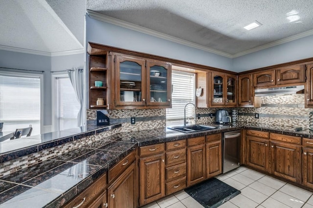 kitchen featuring dishwasher, sink, a textured ceiling, and ornamental molding